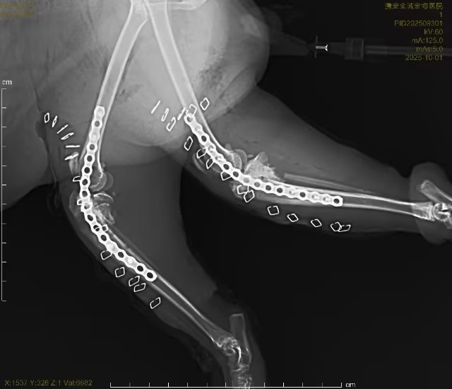 b4f7d36c-4fa1-4891-86c2-8601259542f5.jpg b4f7d36c-4fa1-4891-86c2-8601259542f5.jpg