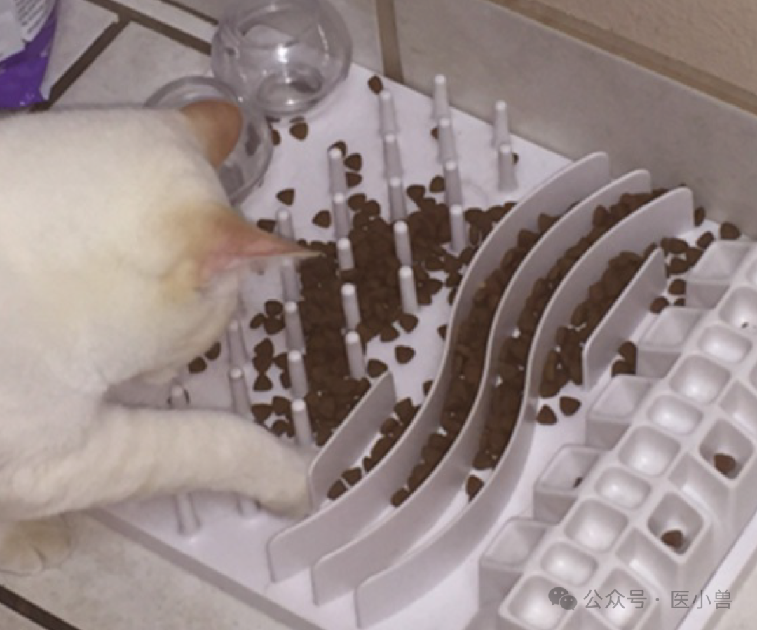 640 (2).png 640 (2).png