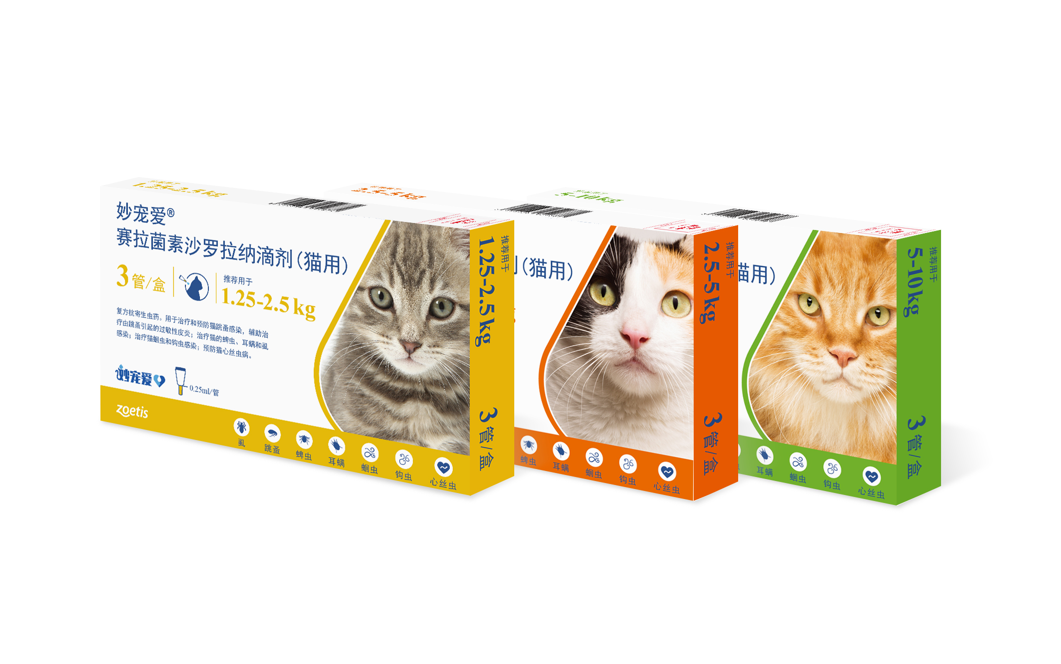 携宠伴侣动物医院：驱虫的重要性