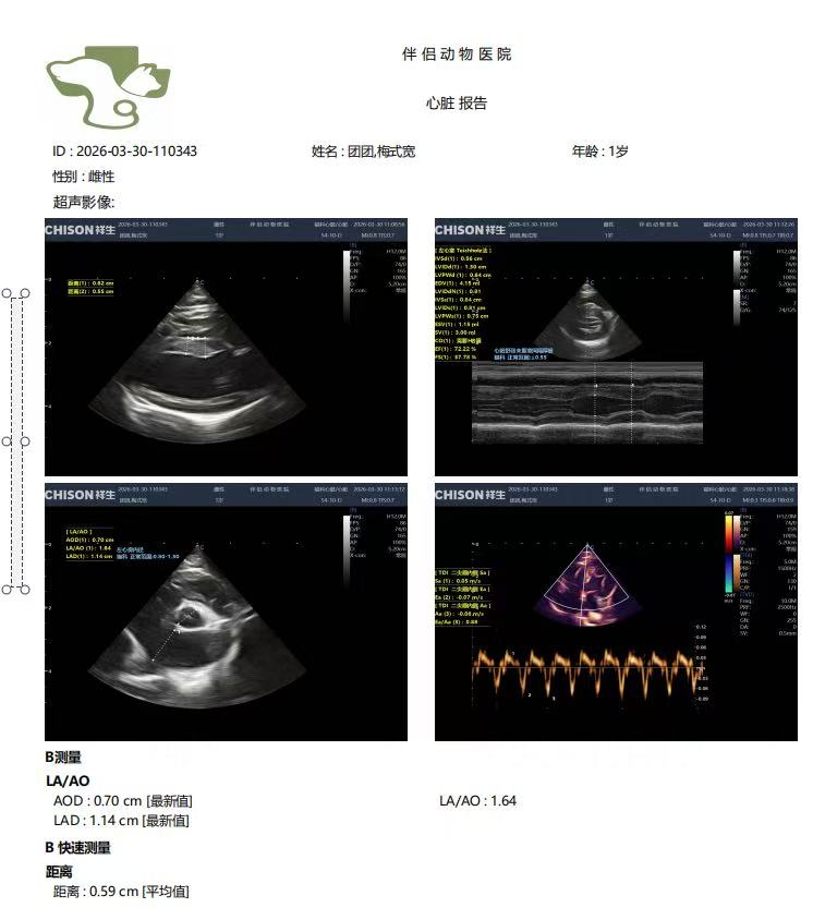 mmexport1774857643684.jpg mmexport1774857643684.jpg