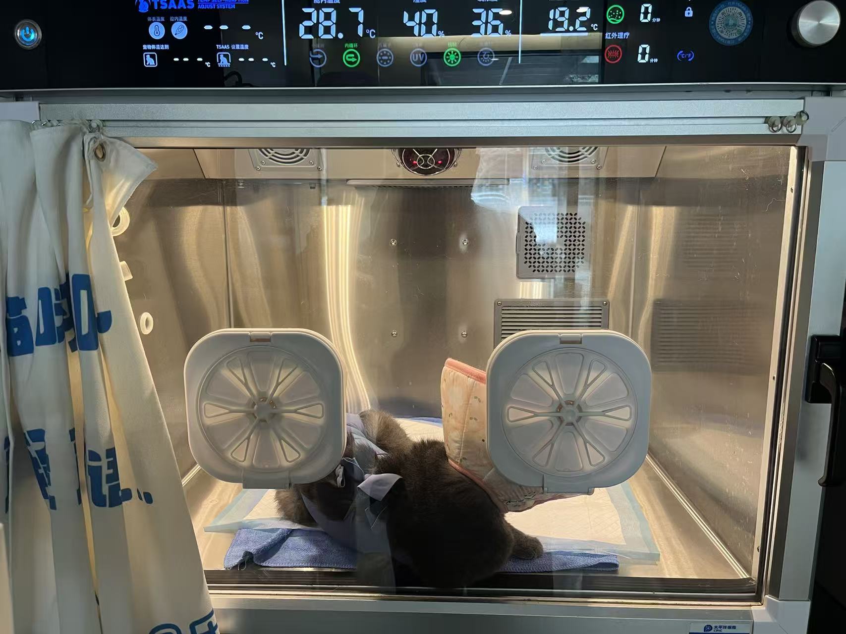 mmexport1774863549657.jpg mmexport1774863549657.jpg