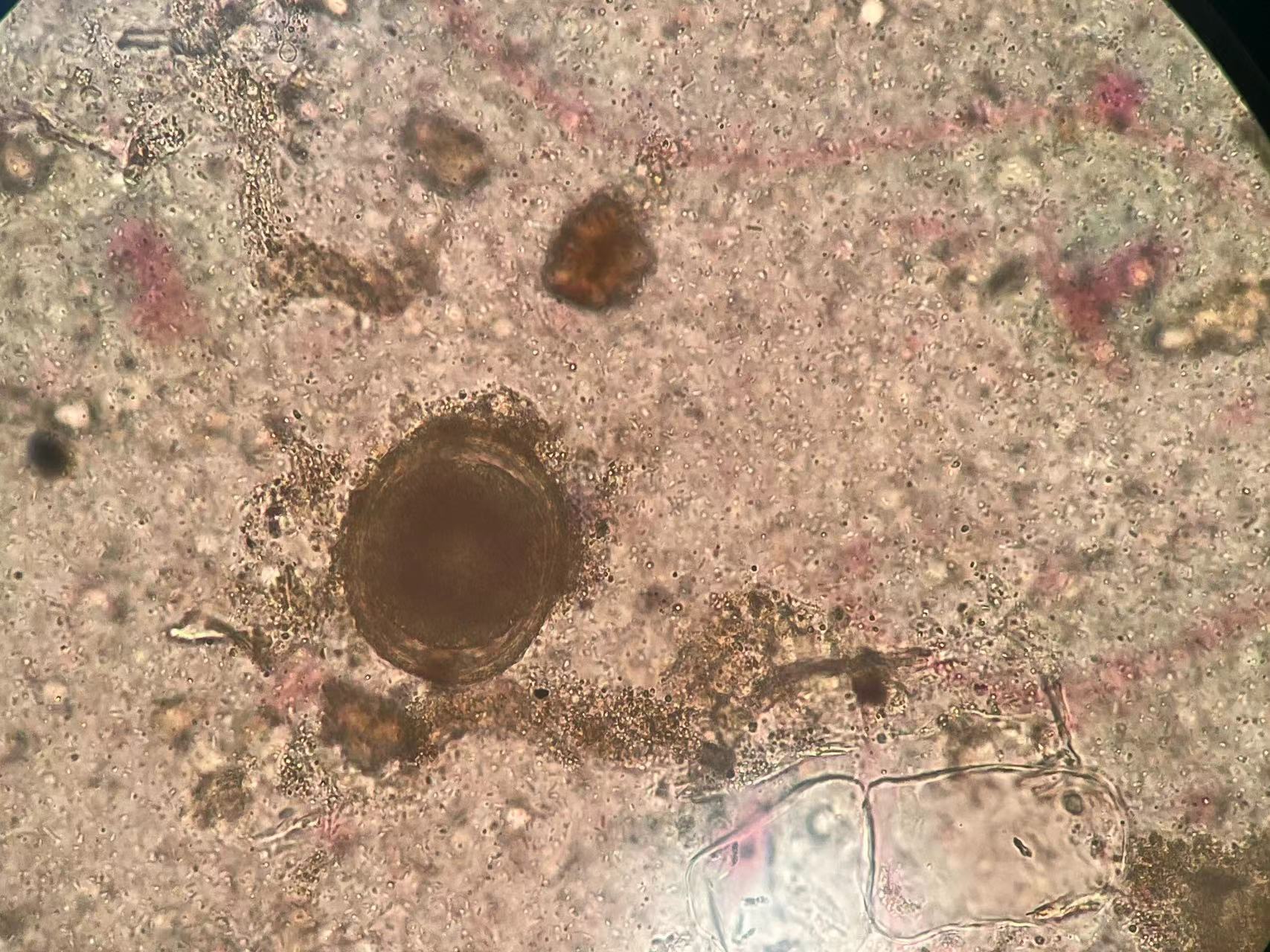 6ff21c79bdd590089c696d79d54c0cce.jpeg 6ff21c79bdd590089c696d79d54c0cce.jpeg