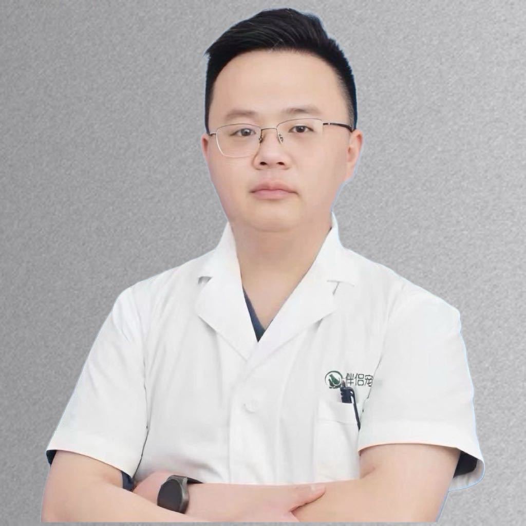 携宠医师风采：金一佳｜14年临床经验，以专精医术，守护毛孩子生命尊严