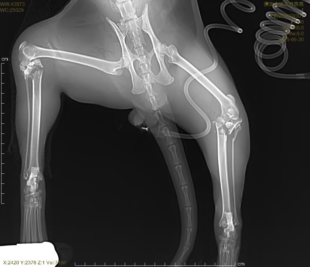 3e2fe970-e82e-4649-b482-f07da7bf12ee.jpg 3e2fe970-e82e-4649-b482-f07da7bf12ee.jpg