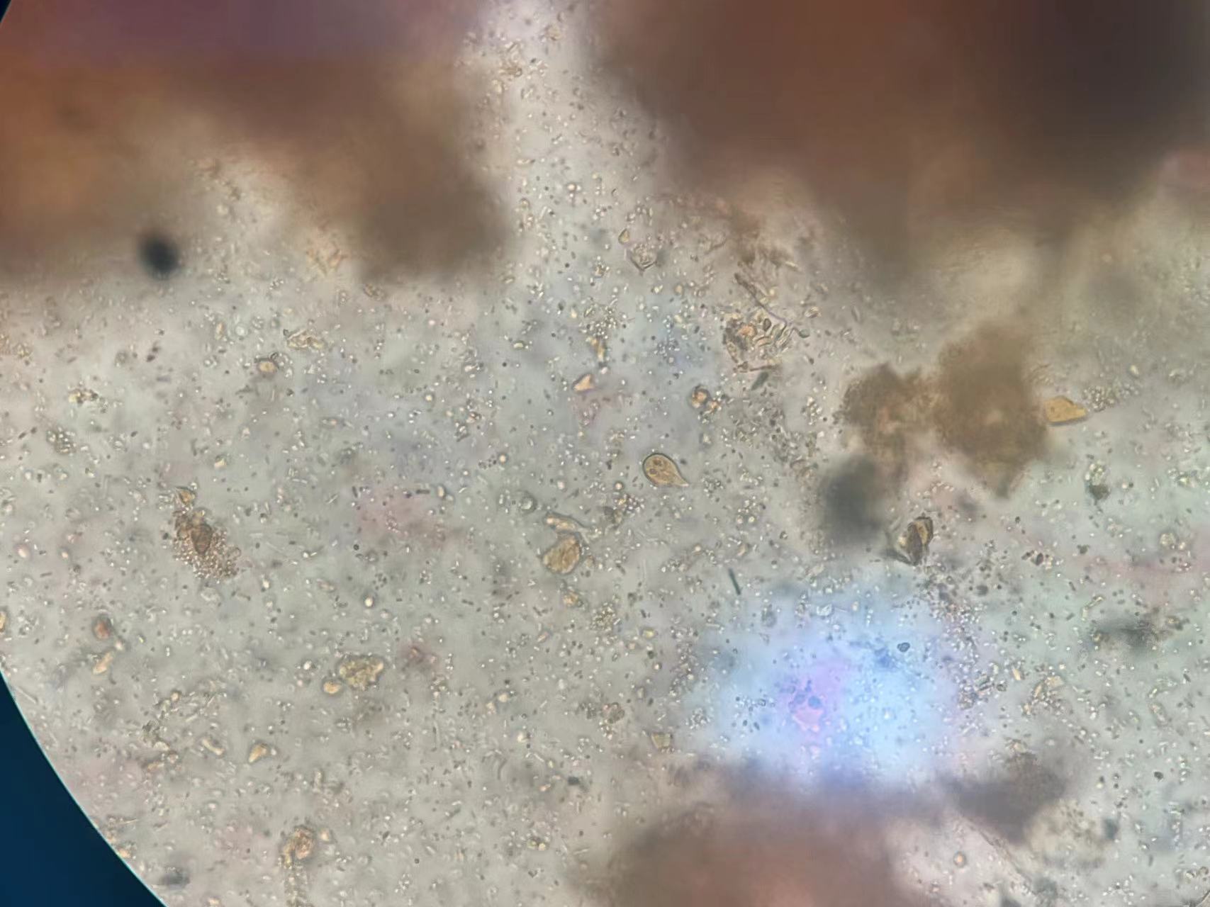 c3c35368ab0ad4ae32f085a5ddb5960f.jpeg c3c35368ab0ad4ae32f085a5ddb5960f.jpeg