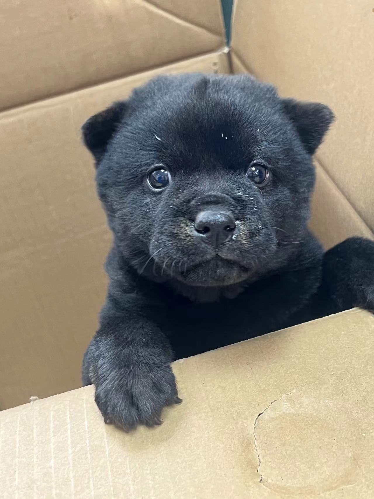 mmexport1774082795653.jpg mmexport1774082795653.jpg