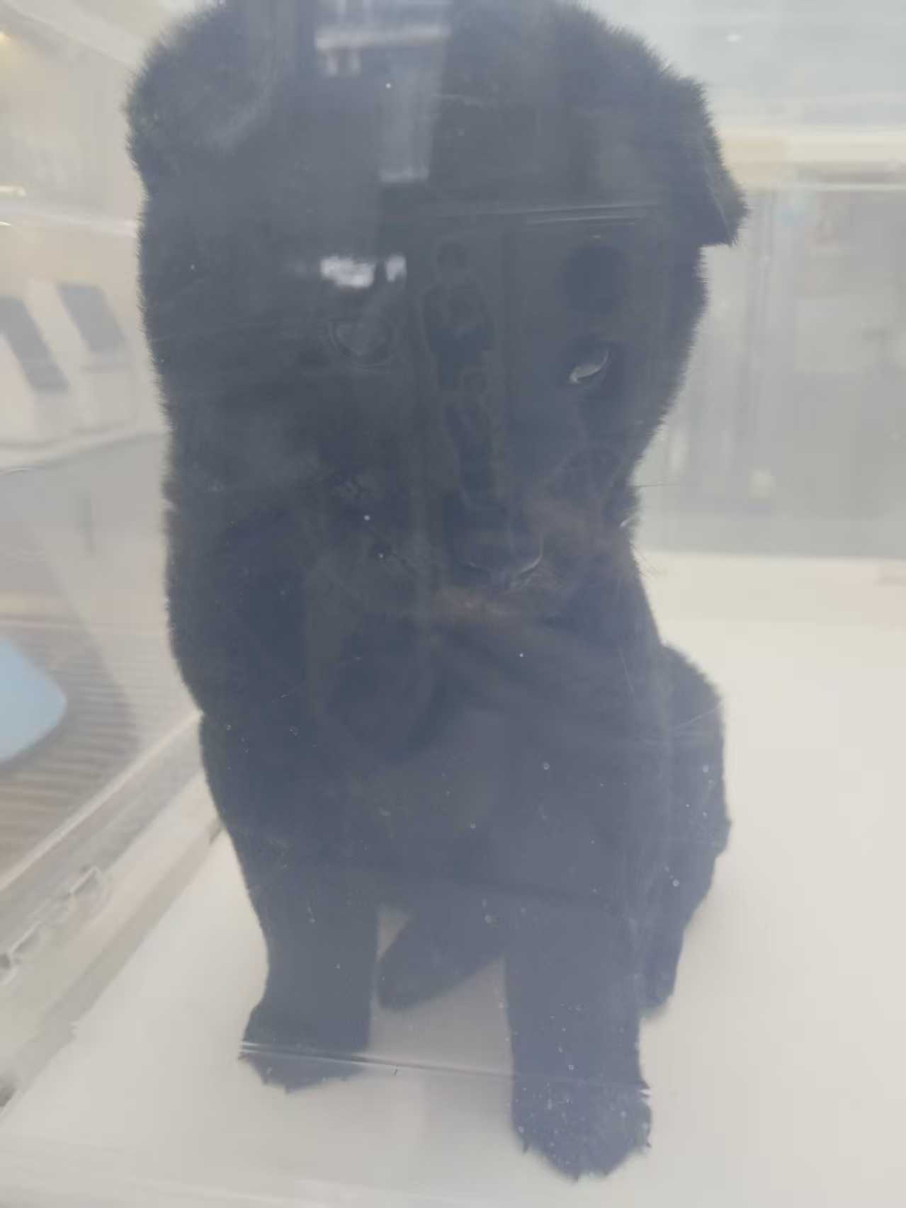 mmexport1774084914977.jpg mmexport1774084914977.jpg