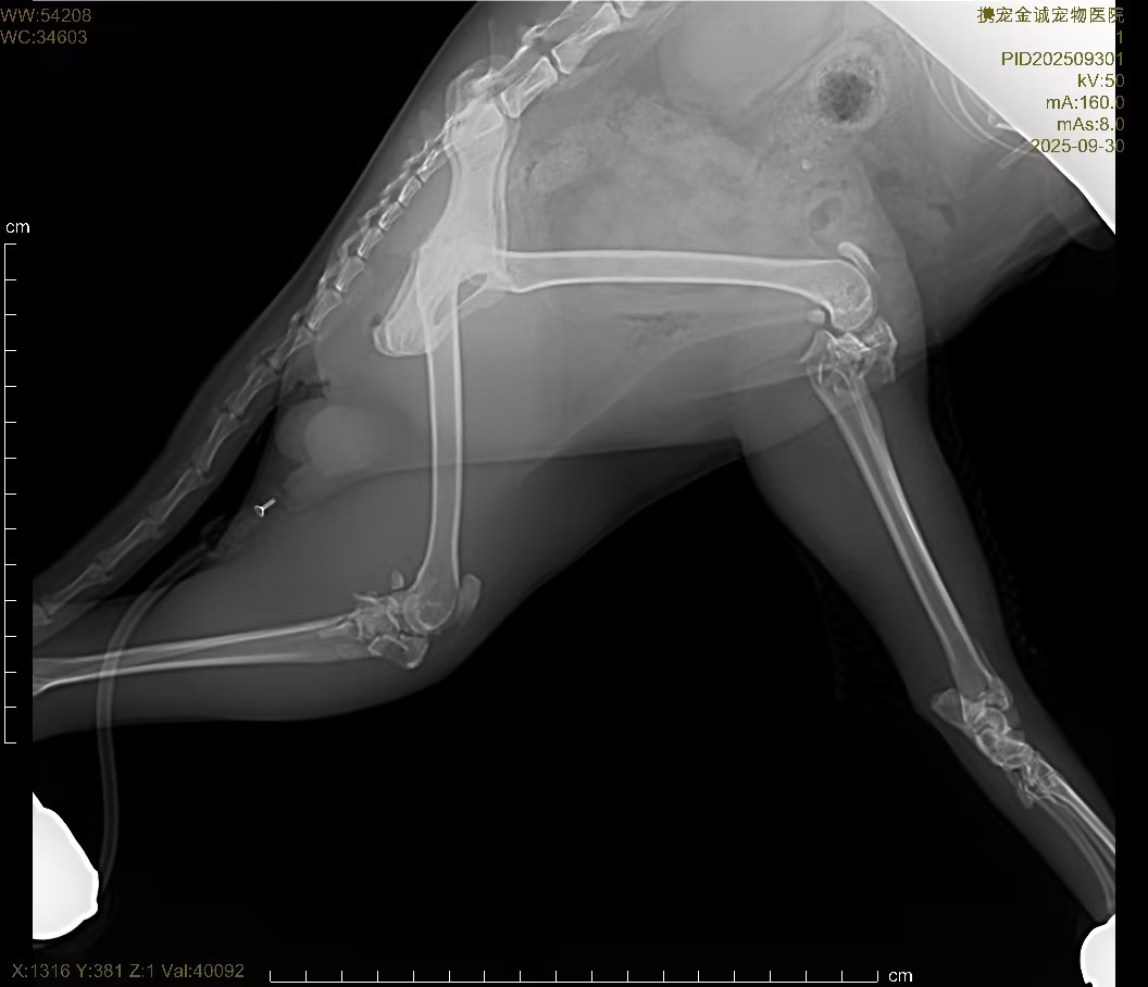 8e147d21-9d92-45fa-b4be-50918d168a9d.jpg 8e147d21-9d92-45fa-b4be-50918d168a9d.jpg