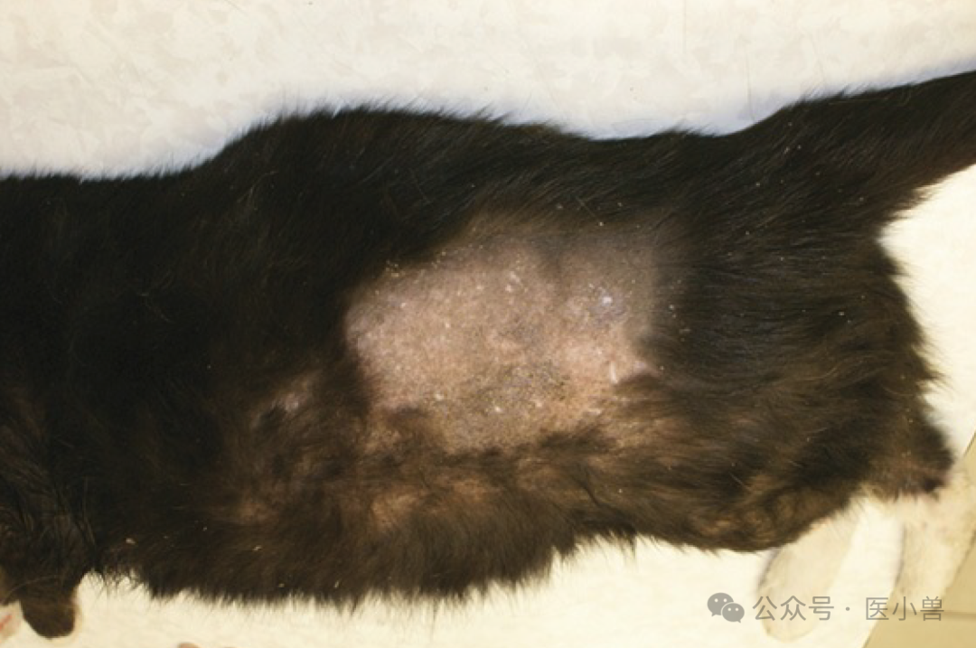 640 (1).png 640 (1).png